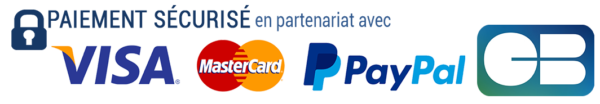 Paiement-sécurisé-visa-paypal-mastercard-cb